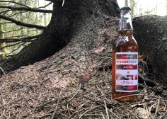 12 x 500ml Bottles Woodredding Jacks Tipple Cider
